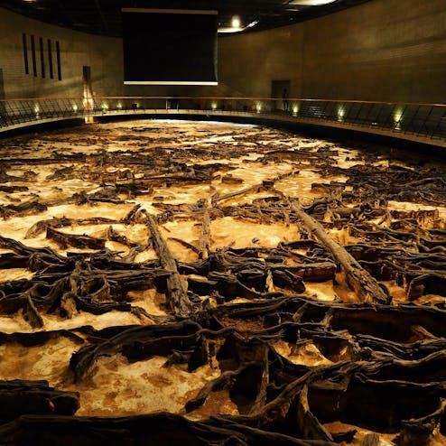 地底の森ミュージアム