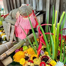 京都市
北野天満宮
花手水
神社仏閣巡りの楽しみのひとつに、それぞれの趣向を凝らした花手水があります。流石天神さまには牛のお出ましがあります。