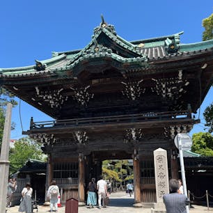 柴又
寅さん聖地巡礼
草だんごと天丼美味しかったー！