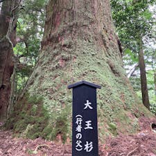 20240709

福岡　東峰村
行者杉

梅雨の合間をぬって行ってきました

行者杉とは修験者が峰入修行する際に
杉の穂を植える習わしがあって
その杉が長い年月をかけて育ったものです
大王杉はなんと樹齢600年！
大き過ぎて写真になんて写りきれなかったです笑
なので根元だけ
鬼杉は上に向かうほど暴れ狂っていて
真っ直ぐ上に伸びている他の杉とは違って
まさに怪獣そのものでした
