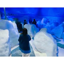真夏の避暑に最高のスポット「オホーツク流氷館」(北海道・網走)✨

流氷体感テラスでは100トンもの本物の流氷が保管されていて、実際に触れることもできます！

体験室内は常に-15度に保たれていて、どんなに暑い日でも気軽に極寒体験を楽しめちゃいます⛄️

おすすめは濡れたタオルを振り回して、あっという間に凍ってしまう「シバレ体験」✨

館内見学後には名物ソフトの「流氷ソフトクリーム」も忘れずに食べていって下さいね♪