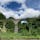 20240709

福岡　東峰村
多連アーチ橋

栗木野橋梁
1番美しいと言われてる5連アーチ橋

宝珠山橋梁
一番大きな5連アーチ橋

第二大行司橋梁
４連アーチ橋

豪雨災害で廃線となってしまい
電車が通る事はないですが
BRTが走ってるようです