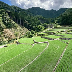 20240709

福岡　東峰村
竹地区の棚田

緑がとても綺麗でした
もう少し早い時期だと蛍や
水面に映る空などが見れそう