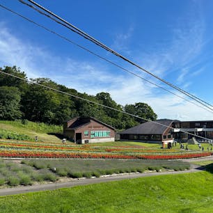 標高1800m！！
夏でも涼しかった🤍
子供の遊び場も豊富🤍
ラベンダーソフトクリームも最高🍦✨
