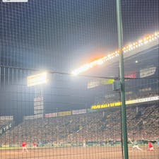 阪神甲子園球場

チケットをもらったので
ナイター楽しみました。
村上選手のお弁当球場で食べました♪
2024.7.19