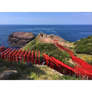 【山口県】

元乃隅稲荷神社。
ここの魅力はなんといっても
海へと続く123基の鳥居の景観。
「日本の最も美しい場所31選」
に選ばれている場所ですが、
「日本でもっとも入れにくい賽銭箱」
があるとして有名な神社でもあります。笑
ぜひ行った際には賽銭箱に注目してみてください^_^