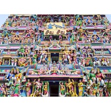 何てカラフルな国、インド。

#チェンナイ #カーパーレーシュワラ寺院