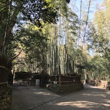 竹林の小径 嵐山 京都 [2018 Feb.]

#kyoto #Japan #tourism