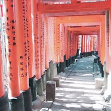 伏見稲荷大社 千本鳥居 京都 [2018 Feb.]

#kyoto #Japan #tourism