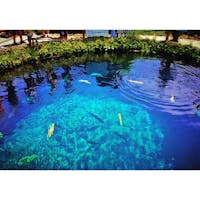 【山梨県】
世界文化遺産の「忍野八海」
国指定の天然記念物、
名水百選にも指定されています。

この湧き水の池、水深8Mもあって
底までハッキリ見えます。笑
どんだけ透明だってことがよく分かります😂
山梨に行った際はぜひ立ち寄ってみてください^_^