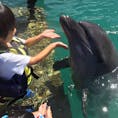 沖縄にて。
イルカと遊べて最高です。