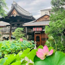 京都
革堂行願寺
蓮の花がきれいでした

西国三十三所観音巡礼
十九番札所