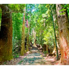 世界遺産・熊野古道の「大門坂」へ！

熊野古道で最も美しいといわれる、苔むした石畳道が続いています。

坂の途中には樹齢800年の杉の木が立ち並ぶほか、熊野九十九王子の最終王子「多富気王子」もあります。

厳かさ漂う自然と長い歴史を感じながら歩いてみて下さいね☺️
