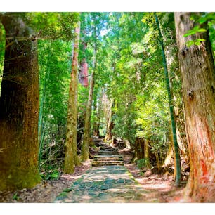 世界遺産・熊野古道の「大門坂」へ！

熊野古道で最も美しいといわれる、苔むした石畳道が続いています。

坂の途中には樹齢800年の杉の木が立ち並ぶほか、熊野九十九王子の最終王子「多富気王子」もあります。

厳かさ漂う自然と長い歴史を感じながら歩いてみて下さいね☺️