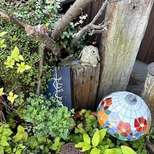 愛知県岩倉市の　花ごろもさんで、
モーニングいただきました。