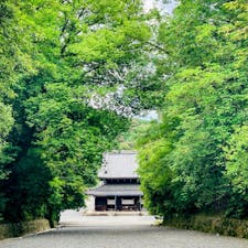 京都
泉涌寺

夏の緑がきれいでした
