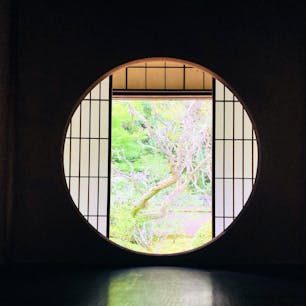 京都
雲龍院

吸い込まれそうな景色