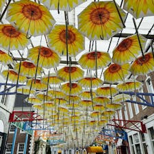 ゆらゆら動いて冷んやり〜
#長崎県#ハウステンボス#向日葵#傘