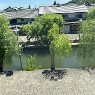 涼しい観光案内所で撮影。
#岡山県#倉敷美観地区