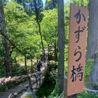 かずら橋
福井県にあるかずら橋、綺麗すぎた！
#202405 #s福井