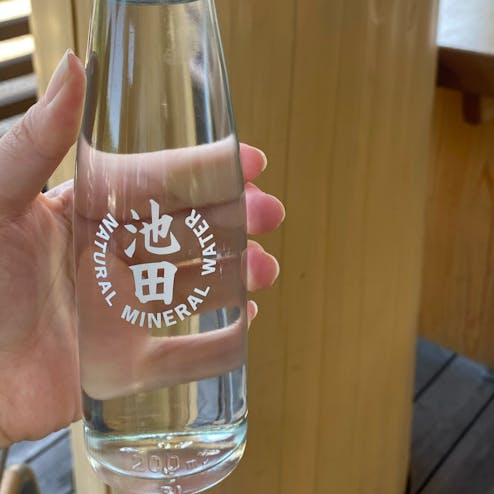 まちの駅 こってコテいけだ