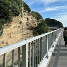 勝浦海中公園展望とう
水深8mに下りてのぞきました