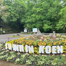 【森林公園】
四季折々の花や植物を楽しめたり
子供達は沢山の遊具や昆虫、夏場は水遊びなども楽しめる✨
イルミネーションや紅葉などのイベントも沢山開かれるよ✨

2024.4.22