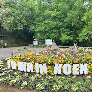 【森林公園】
四季折々の花や植物を楽しめたり
子供達は沢山の遊具や昆虫、夏場は水遊びなども楽しめる✨
イルミネーションや紅葉などのイベントも沢山開かれるよ✨

2024.4.22