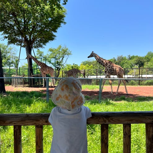 埼玉県こども動物自然公園
