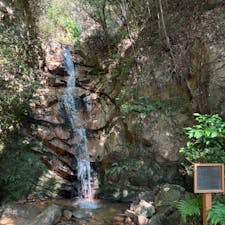 高座の滝

芦屋市奥山にある落差10mの滝。
マイナスイオンが出て涼しいです♪
2024.8.14