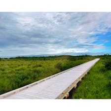 日本最大の湿原・釧路湿原の雄大な自然を間近で体感できる「温根内木道」🎶

1周約1時間で巡ることができ、普段歩き慣れていない方でも気軽にチャレンジできます🤗

歩き出す前には「温根内ビジターセンター」で情報チェック！

旬の自然や季節の見どころのほか、ヒグマ目撃情報や通行止めのお知らせなども発信されているので、確認のうえチャレンジしてみて下さいね✨