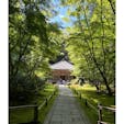 🌻2024夏休み in 東北🌻

日本三景の一つ松島にあるお寺、円通院。
伊達政宗公の嫡孫、光宗公の菩提寺で三慧殿という霊廟があります。
三慧殿がユニークなのは薔薇などの洋風のモチーフが装飾として描かれていること。慶長遣欧使節団を率いてヨーロッパへ渡航した支倉常長がローマを訪れた証として描かれたそうです。
石庭、林と苔の庭、ローズガーデンなど変化に富んだお庭が美しいです。木陰が多く日差しの強い夏日でも歩きやすかったです。

#東北
#宮城
#仙台
#松島