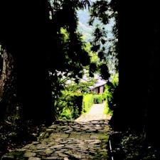 和歌山　大門坂

少し疲れたけど
いい雰囲気でした