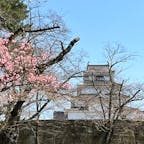 【鶴ヶ城】in福島県会津若松市

※2023.3月の旅の記録となります！
鶴ヶ城のお庭は散策できたのですがまさかのお城の中はイベントのための準備中で入れずでした😭
私のリサーチ不足で凹みました😭
ぜひまたリベンジしたいと思います✨
なのでお庭にある「鶴ヶ城喫茶」にて銀シャチ焼きの抹茶白玉餡とソフトクリームをいただきました✨
食欲に負け写真撮るのを忘れました😭がめっちゃ美味しかったです✨

2023.3