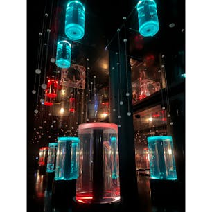 マクセルアクアパーク品川

インスタ映えな空間。水族館好きとしては物足りないのが正直な印象…。

イルカショーは水を使って豪華な演出だけど、濡れたくないから必然的にみんな遠いところにしか座ってなくてちょっと勿体ない😭

#東京