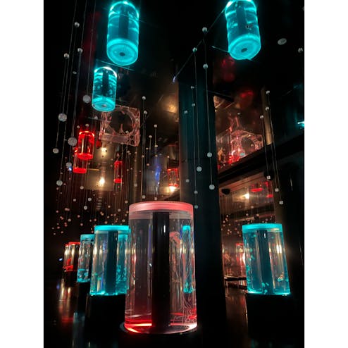 マクセル アクアパーク 品川