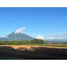 高橋牧場　羊蹄山