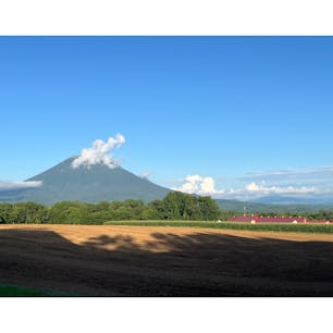 高橋牧場　羊蹄山