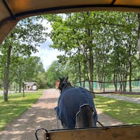 苫小牧　ノーザンホースパーク
有名な元競走馬も間近で見ることができます
馬好きな方は1日楽しめます