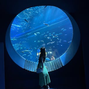 沖縄🌴✨かりゆし水族館です🐢幻想的な雰囲気が素敵でした！