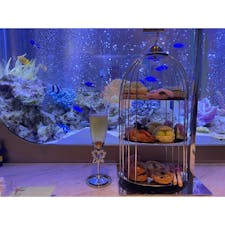 上野 アクアリウムレストラン ノーチラス

お魚を見ながらアフターヌーンティー☕️
お姫様のアフターヌーンティーみたいで可愛かった👸

#東京#東京グルメ