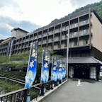 箱根天成園 に泊まりました。
凄く内観は綺麗でスタッフさんの対応もとても優しく親切でした。天成園の庭園はとにかく綺麗で夜はライトアップされます。