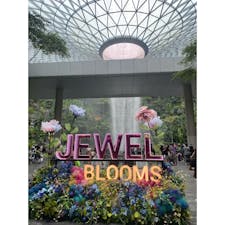 JEWEL
#202406 #sシンガポール