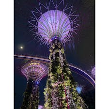 ガーデンバイザベイ
#202406 #sシンガポール