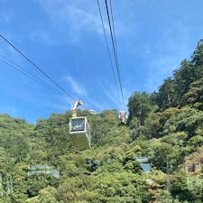 岐阜
金華山ロープウェー

金華山の頂上に岐阜城が。
当時は険しい道のりを
登ったのかな。