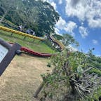 5月の蓮華寺池公園⛲️
1周歩くだけでいい運動……😮‍💨