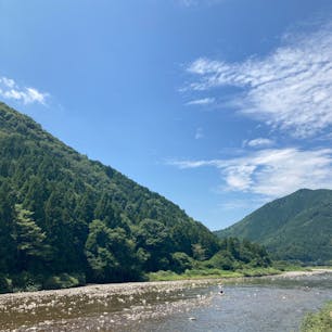岐阜
板取川

鮎釣りをしている横で
川遊び