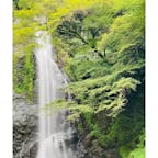 大阪　
箕面大滝

青紅葉もすてきな大滝