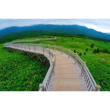 知床の自然を間近で体感できる「知床五湖」へ🥾🎶

シーズンを通して立ち入り手続き不要で、無料かつ自由に巡ることができる「高架木道」を散策してきました✨

ヒグマ対策で地上から高さ約2〜4mあり、木道のまわりは電気柵もはられているので安心して歩けます♪

バリアフリーで往復1.6km、約40分で巡れるので、知床の美しい自然や野生動物との出会いを楽しんでみて下さいね！