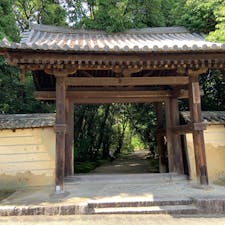 奈良市　秋篠寺

780年頃に創建された、歴史ある寺院。門をくぐれば雑木林の中に道が続く。美しい苔の庭を見ながら受付に。

本堂などが建つエリアはこぢんまりしているが、今雑木林になっているあたりに、かつて金堂や塔が建っていたそうだ。本堂に、芸能上達のご利益がある伎芸天が安置されている。美しい姿をゆっくりと眺めた。